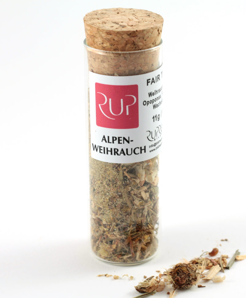 Alpenweihrauch groß