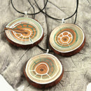 Varianten Clara Lignea